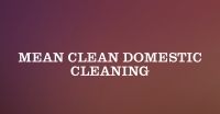 Mean Clean Domestic Cleaning Logo
