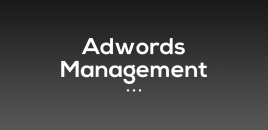 Adwords Management barden ridge