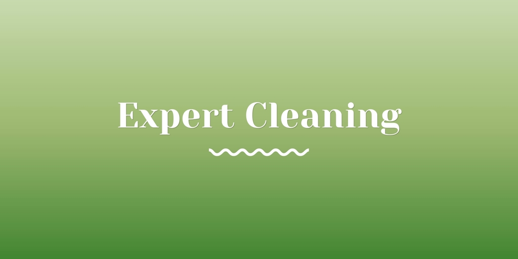 Expert Cleaning Daisy Hill Commercial Cleaner daisy hill