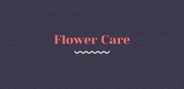 Flower Care eden park