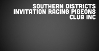Southern Districts Invitation Racing Pigeons Club Inc. Logo