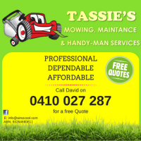 Tassie's Handyman Logo