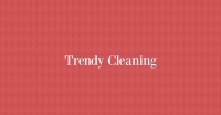 Trendy Cleaning Logo