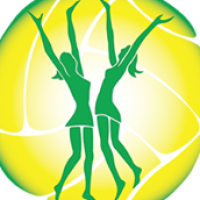 Darwin Netball Association Logo