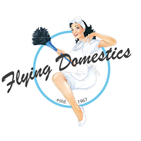 Flying Domestics & Maid Perfect Home Help Agencies Logo