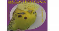 Budgerigar Society Of NSW Inc The Logo