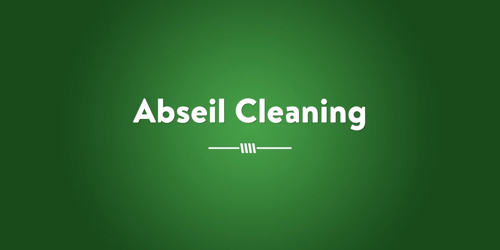 Abseil Cleaning Point Cook