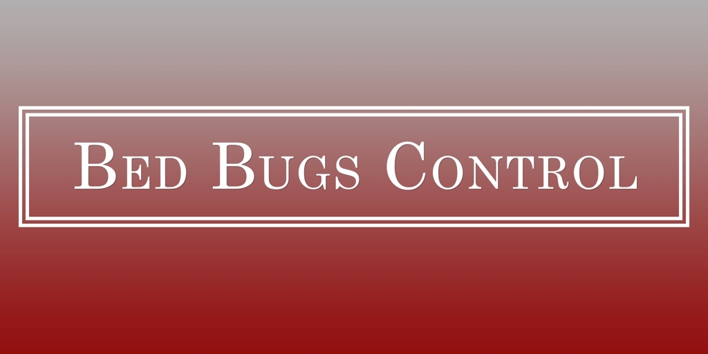 Bed Bugs Control Mackay Pest Control Services Mackay