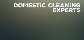 Domestic Cleaning Experts Dernancourt
