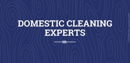 Domestic Cleaning Experts doubleview