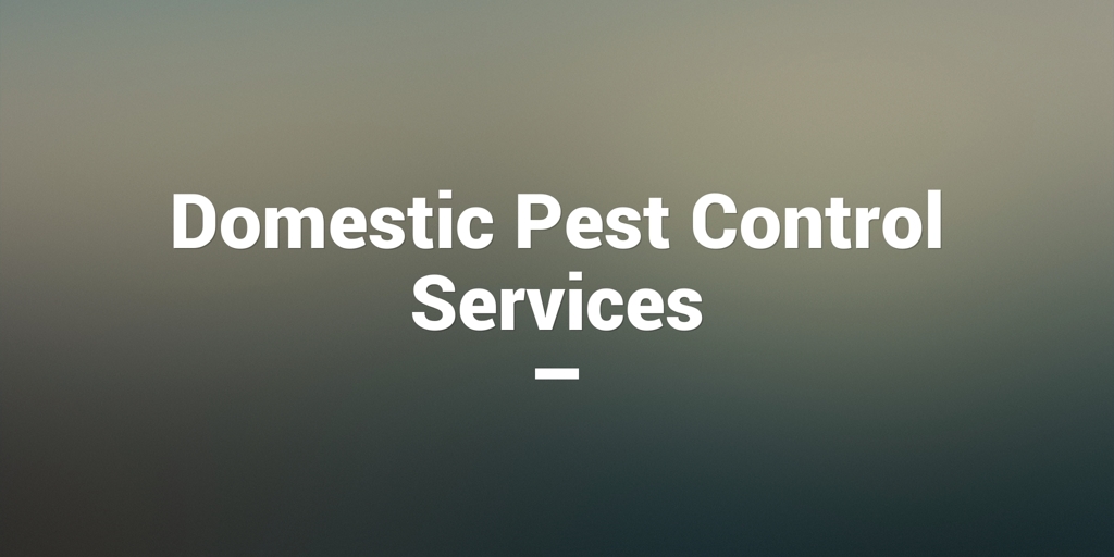 Domestic Pest Control Services Ipswich Pest Control Services Ipswich