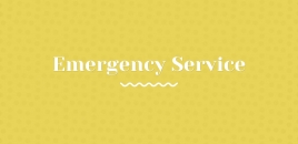 Emergency Service chesney vale