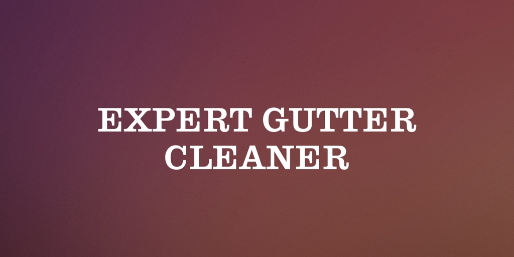 Expert Gutter Cleaner Toronto