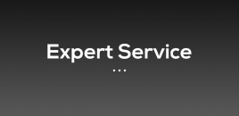Expert Service mascot