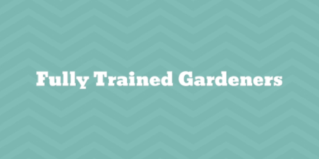 Fully Trained Gardeners Blackwood Lawn Cutting and Garden Maintenance Blackwood