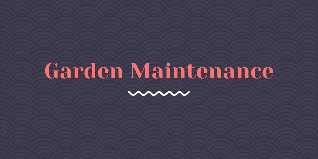 Garden Maintenance  Buderim Lawn Cutting and Garden Maintenance Buderim