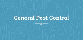 General Pest Control Redland Bay