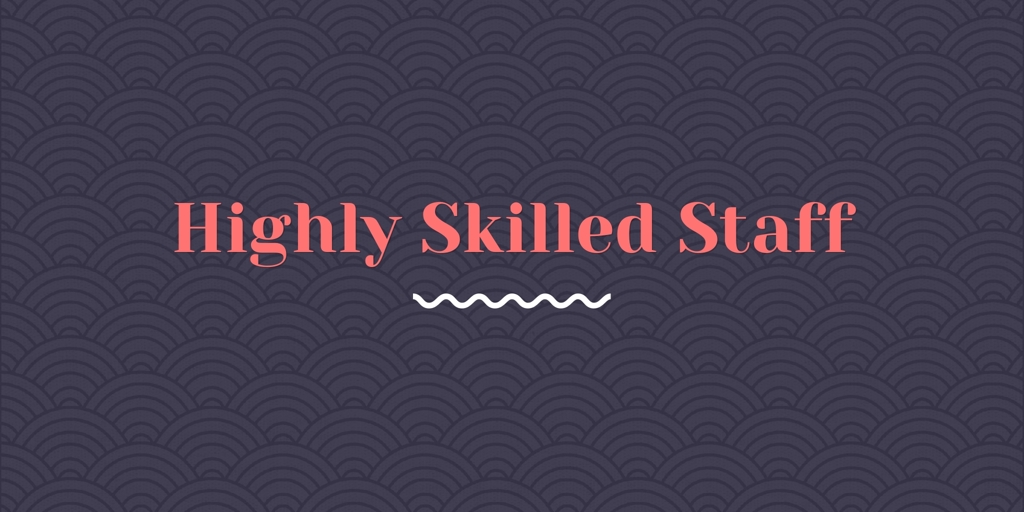Highly Skilled Staff south lake