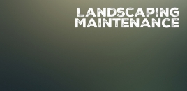 Landscaping Maintenance Mount Evelyn