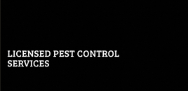 Licensed Pest Control Services Kingaroy Kingaroy