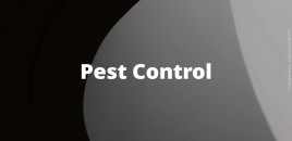 Pest Control Grantham