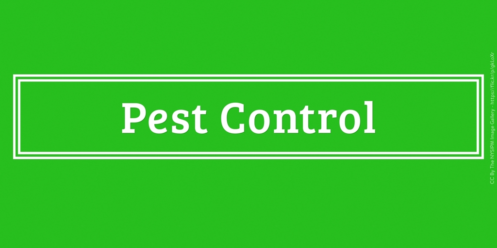 Pest Control and Management in Cleveland Cleveland