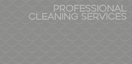 Professional Cleaning Services Caringbah