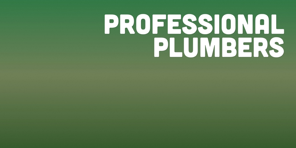 Professional Plumbers Potts Hill