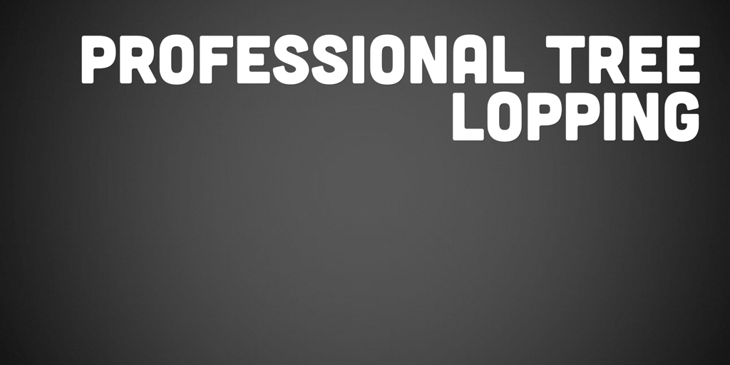 Professional Tree Lopping Belmont Tree Felling belmont