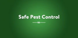 Safe Pest Control Ayr