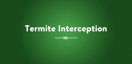 Termite Interception Adelaide
