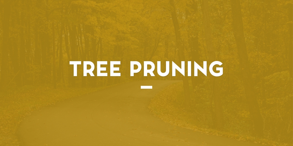 Tree Pruning Isabella Plains