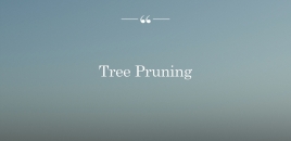 Tree Pruning shepherds flat