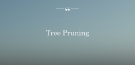 Tree Pruning new gisborne
