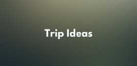 Trip Ideas forest range