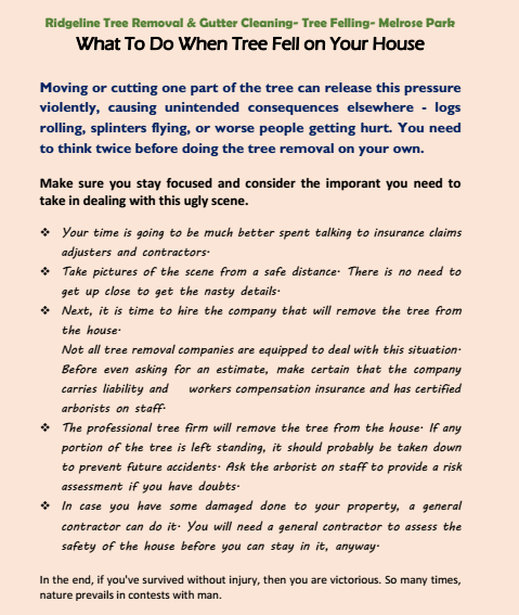 What To Do When Tree Fell on Your House Dorset vale
